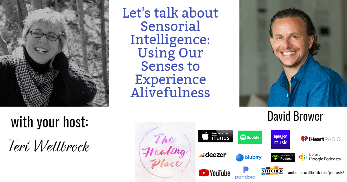 The Healing Place Podcast: David Brower – Sensorial Intelligence: Using Our Senses to Experience Alivefulness